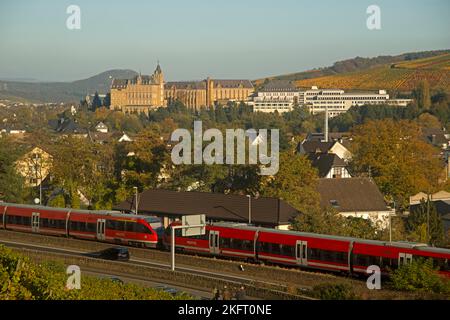 Monastère de Kalvarienberg, Bad Neuenahr-Ahrweiler, vignobles en automne, vallée de l'Ahr, vin rouge du Pinot Noir et raisins portugais y est cultivé, r Banque D'Images