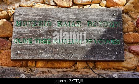 Olives (olivae), olives (olivae), mur, panneau en bois Musée des oliviers de Vouves, plus ancien olivier de Crète, plus ancien olivier du monde, Vouves, W Banque D'Images