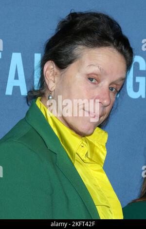 17 novembre 2022, Beverly Hills, CA, Etats-Unis: LOS ANGELES - NOV 17: Frances McDormand à la première de conversation des femmes au Samuel Goldwyn Theatre on 17 novembre 2022 à Beverly Hills, CA (Credit image: © Kay Blake/ZUMA Press Wire) Banque D'Images