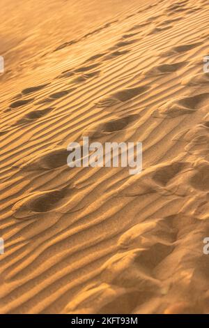 Arrière-plan de plage de sable orange avec des traces au coucher du soleil Banque D'Images
