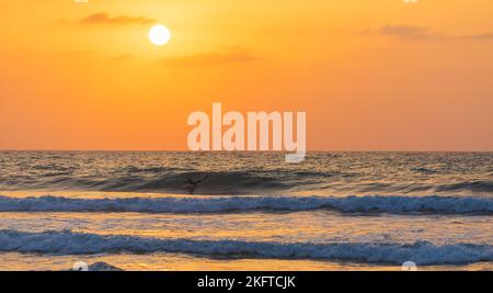 ISRAËL, Herzliya - 05 octobre 2022: Surfeur en attente de la vague Banque D'Images