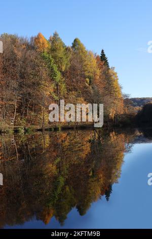 Photo d'une forêt automnale reflétée dans un lac Banque D'Images