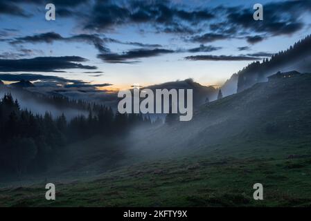 Des nuages de brouillard se délellent dans le paysage mystique de la forêt montagneuse à l'Ackernalm alp après un orage d'été au crépuscule, Tyrol, Autriche Banque D'Images