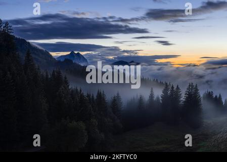 Des nuages de brouillard se délellent dans le paysage mystique de la forêt montagneuse à l'Ackernalm alp après un orage d'été au crépuscule, Tyrol, Autriche Banque D'Images