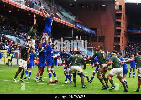 Genova, Italie. 19th novembre 2022. L'équipe italienne et l'équipe sud-africaine se battent pour avoir gagné le ballon lors du dernier match de rugby de l'automne. Le match a été joué dans le stade Luigi Ferrari de Genova, en Afrique du Sud, beated Italy avec le score 63-21 (photo de Pasquale Gargano/Pacific Press) Credit: Pacific Press Media production Corp./Alay Live News Banque D'Images