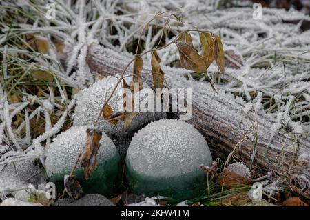 Jardin congelés Banque D'Images