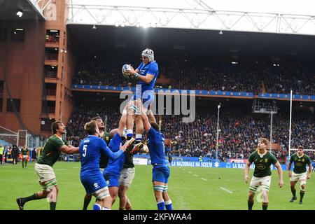 Gênes, Ligurie, Italie. 19th novembre 2022. L'équipe italienne et l'équipe sud-africaine se battent pour avoir gagné le ballon lors du dernier match de rugby de l'automne. Le match a été joué dans le stade Luigi Ferrari de Gênes, en Afrique du Sud beated Italie avec le score 63-21 (Credit image: © Pasquale Gargano/Pacific Press via ZUMA Press Wire) Banque D'Images