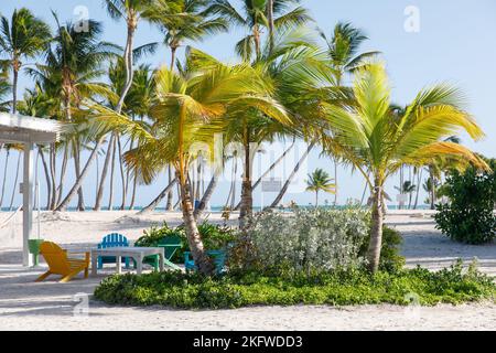 Chaises sur la plage sur la côte des Caraïbes. Banque D'Images