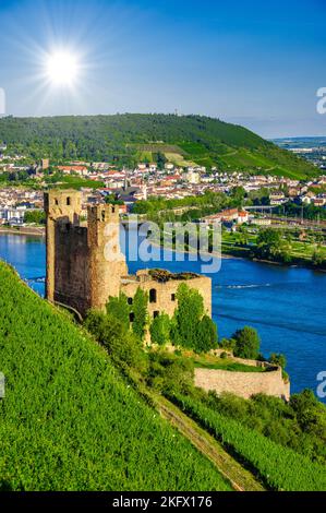 Le Château d'Ehrenfels, Ehrenfels Burg sur le Rhin près de Ruedesheim et Bingen am Rhein, Hessen, Allemagne. Banque D'Images