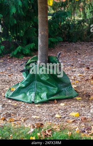 Sac d'arrosage arbre vert sac d'eau pour arbre nouvellement planté Banque D'Images