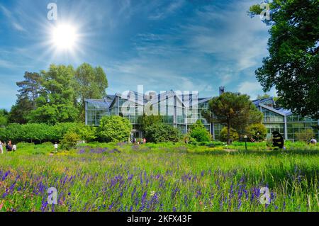 Serre, orangerie dans le parc, Frankfurt am Main Hessen, Allemagne Banque D'Images