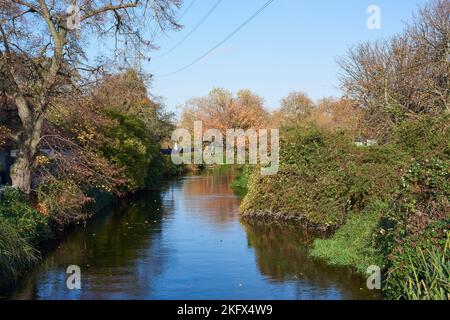 Le ruisseau Coppermill sur Walthamstow Marshes à l'automne, au nord-est de Londres, au Royaume-Uni Banque D'Images