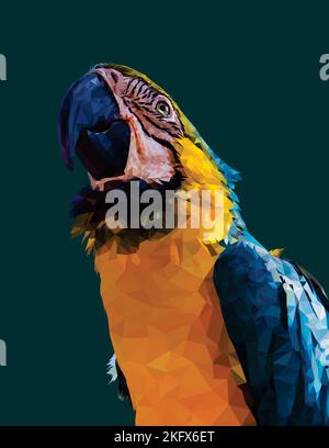 Un très beau et très détaillé bas art poly de perroquet de macaw Illustration de Vecteur