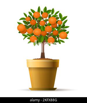 Arbre tangerine décoratif Illustration de Vecteur