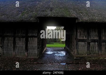 Grange à pans de bois et de bois Stryd Lydan, c 1550. Musée national d'histoire de St Fagans. Amgueddfa Werin Cymru. Pris en novembre 2022. Automne. Banque D'Images