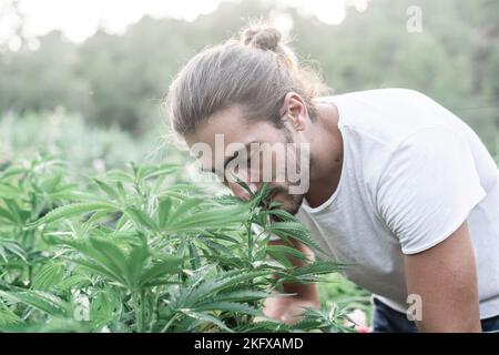 Un type caucasien avec une barbe et de longs cheveux recueillis sentant l'odeur des plantes de marijuana avec ses yeux fermés Banque D'Images