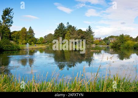 Keptie Pond, Arbroath, Angus, Écosse. Ancien étang de canotage, « la pondie » est désormais une réserve naturelle en ville par des bénévoles dévoués. Banque D'Images