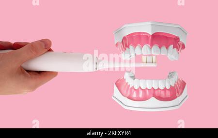 Brossage, nettoyage des dents modèle à mâchoire avec brosse à dents électrique sur rose. Photo de haute qualité Banque D'Images