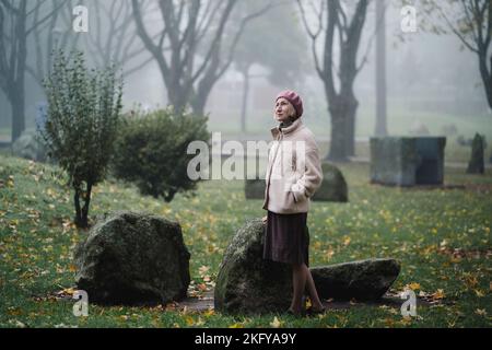 Une femme marche dans le parc lors d'une matinée d'automne brumeuse. Banque D'Images