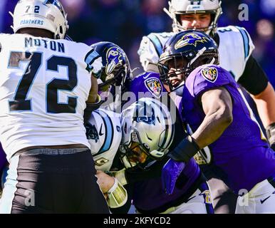 Baltimore, États-Unis. 20th novembre 2022. Le quarterback de Carolina Panthers Baker Mayfield (C) est étouffé par les défenseurs de Baltimore Ravens pendant la première moitié au stade M&T Bank à Baltimore, Maryland, dimanche, 20 novembre 2022. Photo de David Tulis/UPI crédit: UPI/Alay Live News Banque D'Images
