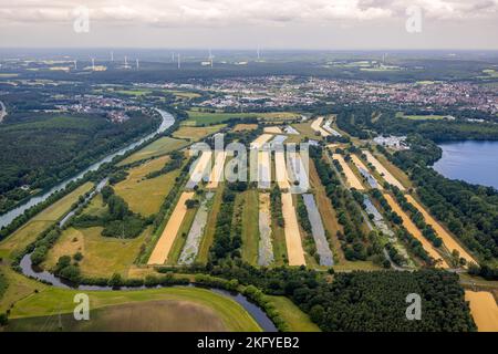 Vue aérienne, Gelsenwasser AG Waterworks Haltern, bassin filtrant, ville de Haltern, Haltern am See, région de la Ruhr, Rhénanie-du-Nord-Westphalie, Allemagne, DE, Europe, F Banque D'Images
