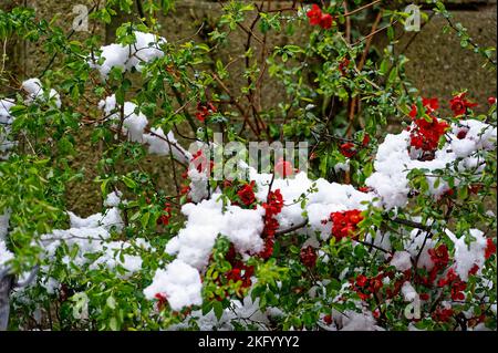 Schnee dépose à Hanovre .Linden. Banque D'Images