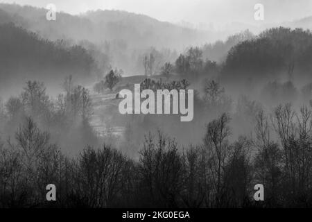 Une échelle de gris de forêts avec des montagnes dans l'arrière-plan couvert de brouillard, parfait pour les fonds d'écran Banque D'Images