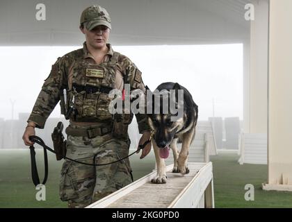 Sergent d'état-major McKenzie Langan, un maître-chien militaire affecté à l'escadron 380th des forces de sécurité expéditionnaires, s'entraîne avec son MWD, Adja, dans le chantier d'obéissance de l'ESFS 380th, 20 octobre 2022 à la base aérienne Al Dhafra, aux Émirats arabes Unis. En s'exerçant dans la cour d'obéissance, les manipulateurs peuvent s'assurer que leur MWD est familier avec les différents obstacles afin qu'ils ne soient pas entravés par le nouveau terrain sur le travail. Banque D'Images