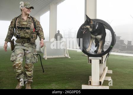 Sergent d'état-major McKenzie Langan, un maître-chien militaire affecté à l'escadron 380th des forces de sécurité expéditionnaires, s'entraîne avec son MWD, Adja, dans le chantier d'obéissance de l'ESFS 380th, 20 octobre 2022 à la base aérienne Al Dhafra, aux Émirats arabes Unis. En s'exerçant dans la cour d'obéissance, les manipulateurs peuvent s'assurer que leur MWD est familier avec les différents obstacles afin qu'ils ne soient pas entravés par le nouveau terrain sur le travail. Banque D'Images