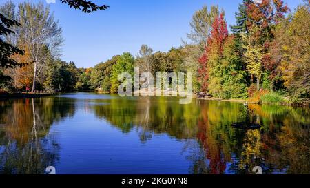 Paysage d'automne, arbres feuillus colorés. Arboretum Ataturk, Istanbul, Turquie. Banque D'Images