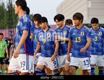 Doha, Qatar. 19th novembre 2022. Équipe japonaise, Hidemasa Morita, Ayase Ueda, Kaoru Mitoma (JPN) football : session d'entraînement de l'équipe nationale japonaise lors de la coupe du monde de la FIFA Qatar 2022 à Al Sadd SC nouvelles installations d'entraînement à Doha, Qatar . Credit: AFLO/Alay Live News Banque D'Images