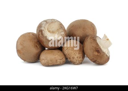 Champignons entiers Fresh Baby Bella ou Cremini isolés sur fond blanc Banque D'Images