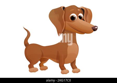 Mignon petit chiot de dachshund, debout et souriant dans un style de dessin animé, personnage d'animal lumineux isolé sur fond blanc. Illustration vectorielle Illustration de Vecteur