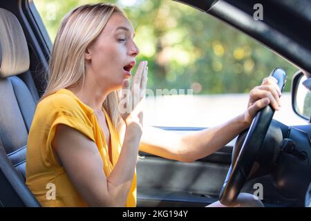 une fille de conducteur se fait hurla en conduisant une voiture Banque D'Images