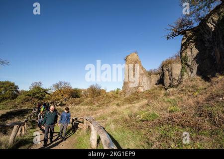 Pilier de roche de la montagne Stenzelberg dans la chaîne de colline de Siebengebirge près de Koenigswinter, la montagne a servi de carrière pour la latite de quartz jusqu'à la TH Banque D'Images