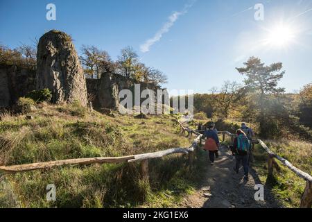 Pilier de roche de la montagne Stenzelberg dans la chaîne de colline de Siebengebirge près de Koenigswinter, la montagne a servi de carrière pour la latite de quartz jusqu'à la TH Banque D'Images