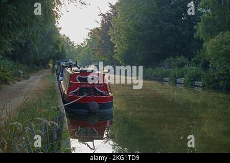 Matin d'été sur le canal de Kennett & Avon avec des bateaux étroits amarrés par le chemin de halage à Kintbury, Berkshire, août Banque D'Images