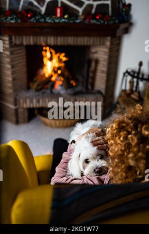 Femme âgée avec son chien devant la cheminée Banque D'Images