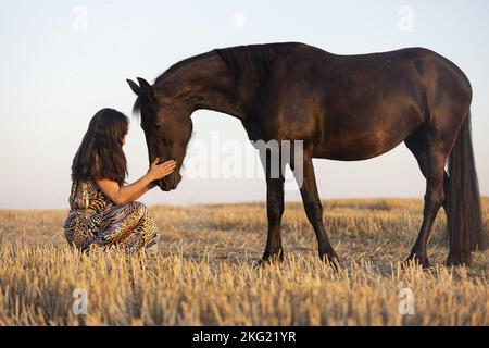 jeune femme avec jument de friesian Banque D'Images