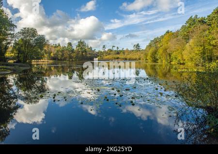 Belle lumière et nuages - Hensol Lake dans une partie de la forêt de Hensol dans la vallée de Glamourgan Sud-Galles en octobre Banque D'Images