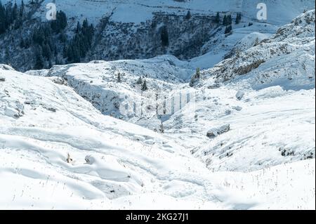 Photo d'un paysage d'hiver incroyable avec des pins enneigés sous la lumière du soleil Banque D'Images