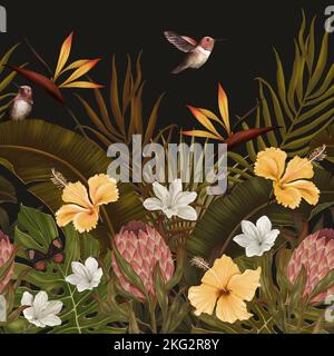 Arrière-plan tropical sombre vintage avec protea, fleurs d'hibiscus, feuilles, colibris, papillons. Bordure transparente. Papier peint premium. Dessiné à la main, 3D Banque D'Images