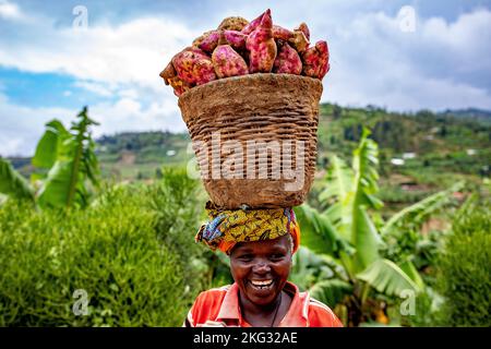 Femme souriante portant un panier de patates douces sur la tête dans l'ouest du Rwanda Banque D'Images