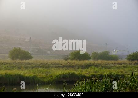 Une belle photo d'un train passant par la nature sur le chemin de fer par un jour brumeux Banque D'Images