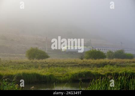 Une belle photo d'un train passant par la nature sur le chemin de fer par un jour brumeux Banque D'Images