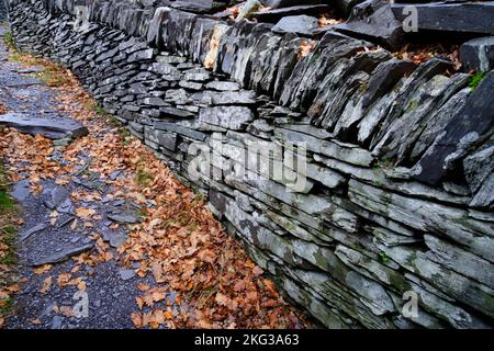 Une promenade automnale autour de la carrière d'ardoise Dinorwic à Llanberis, Snowdonia, Gwynedd, au nord du pays de Galles, en Grande-Bretagne Banque D'Images