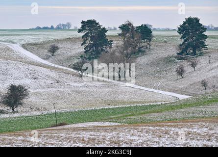 20 novembre 2022, Brandebourg, Libbenichen: Un peu de neige se trouve sur les collines au bord de l'Oderbruch. Photo: Patrick Pleul/dpa Banque D'Images