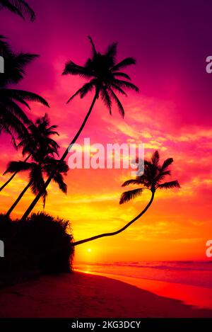 Coucher de soleil coloré et vif avec des silhouettes de palmiers à noix de coco sur l'eau sur l'île tropicale plage avec océan calme Banque D'Images