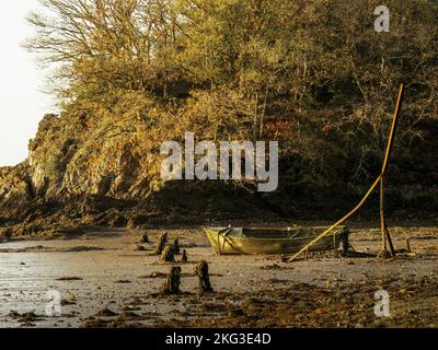 Vieux bateau en bois, abandonné, sur l'estuaire de la rivière Torridge, Devon à la lumière du matin. Banque D'Images