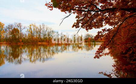 Automne à Polanka nad Odrou et Jistebnik en Moravie en République tchèque. Banque D'Images